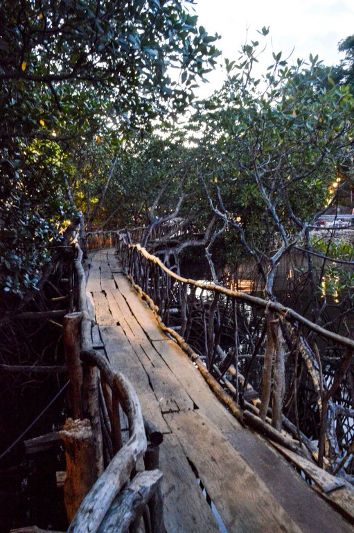 the bridge in Maquinit Hot Spring surrounded by mangroves