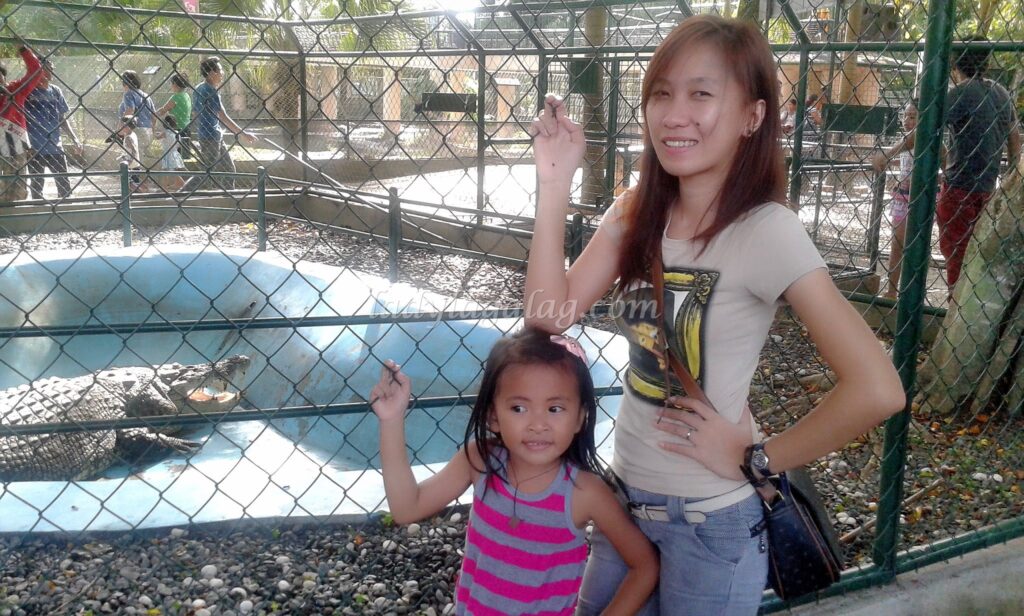 Crocodiles gaping fascinated and feared in a Davao tourist spot