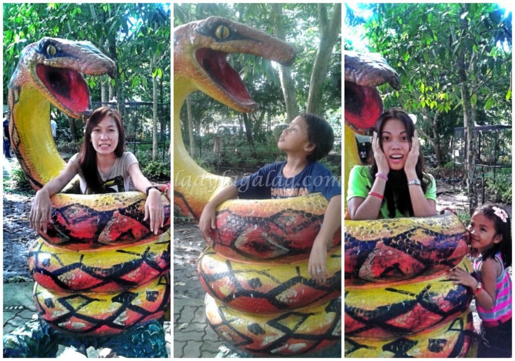 Take pictures on this snake in Davao Crocodile Park, a Davao tourist spot