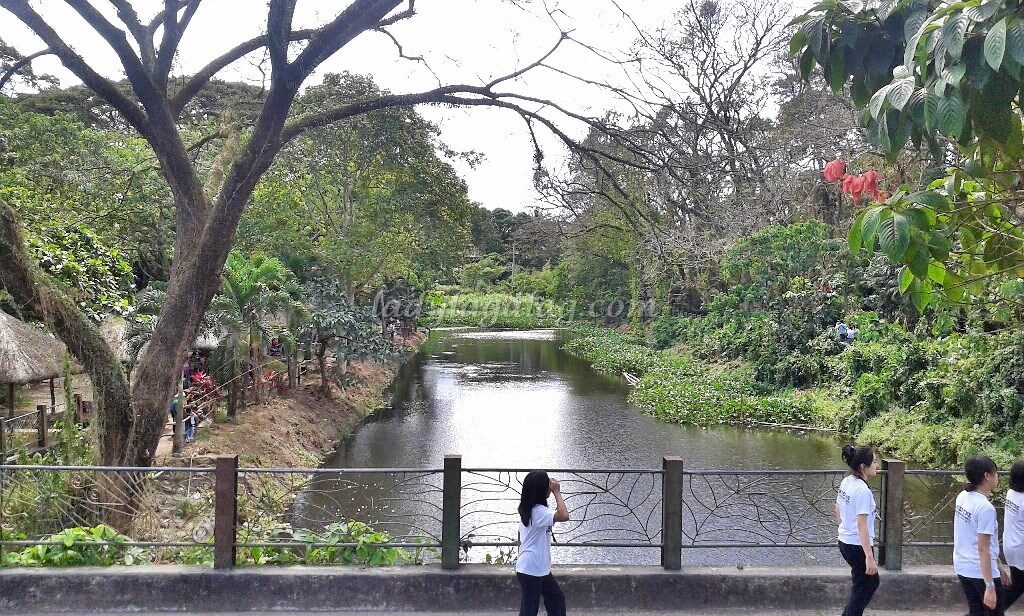 Things to do in Quezon City: Fishing Lagoon
