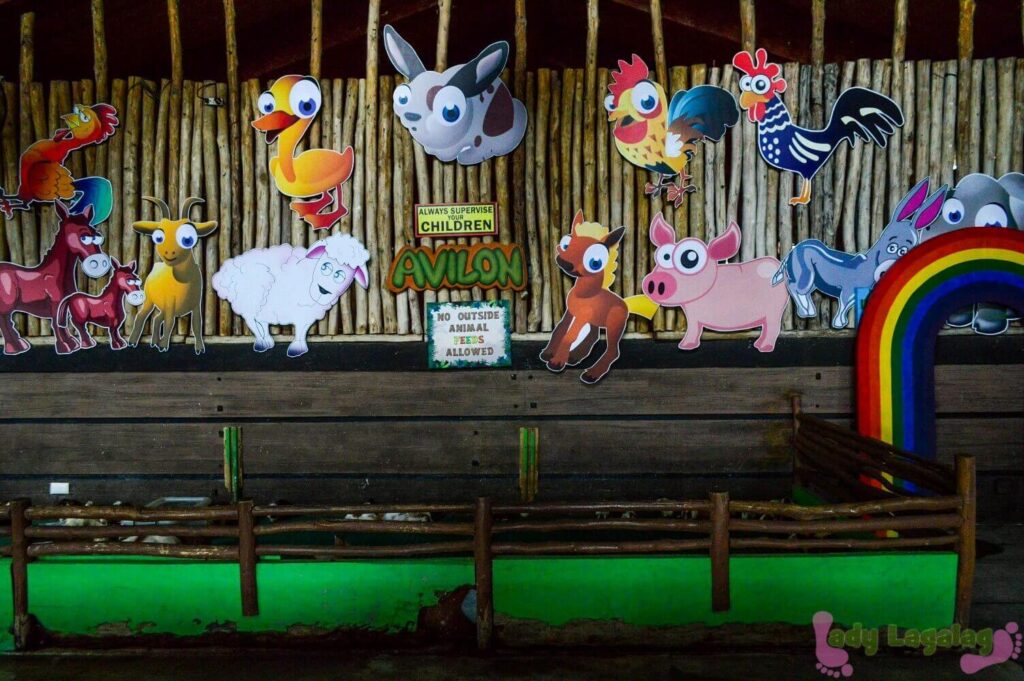 Things to do in Pasig: Let the day be different to your kids by visiting this children area in Ark Avilon Zoo!