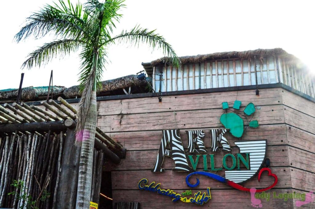 Wondering what are the possible things to do in Pasig? Visit Ark Avilon Zoo!