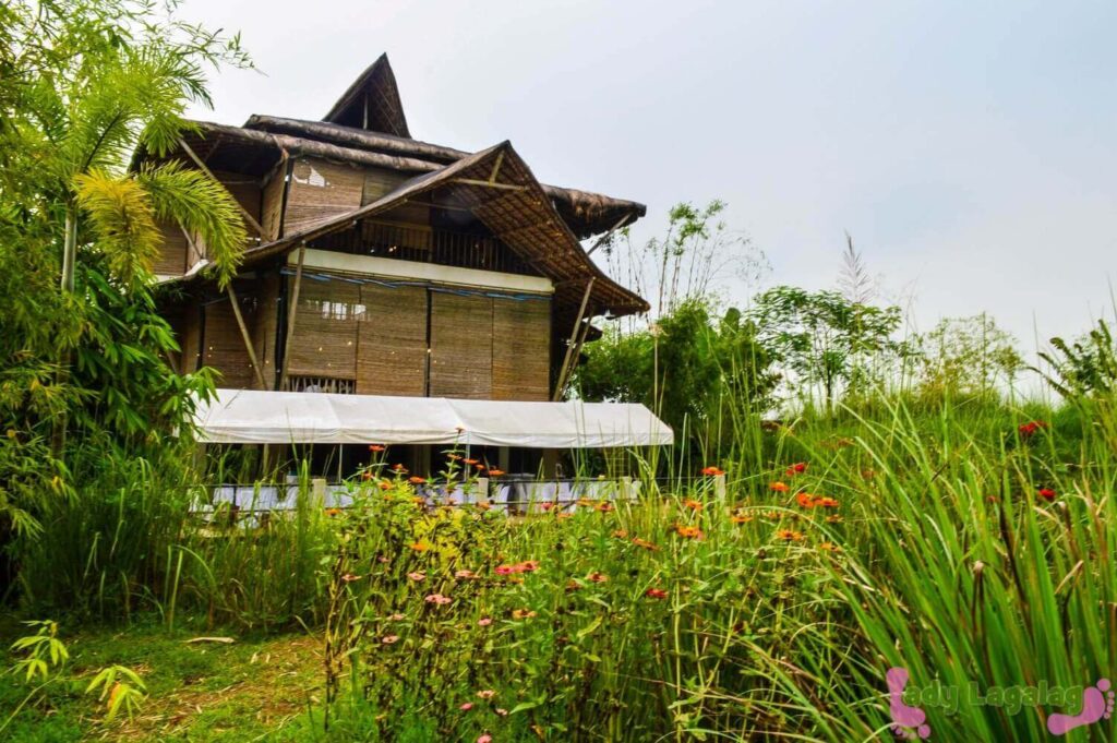things to do in Bulacan: go see how flowers are nurtured here in Bamboo Palace
