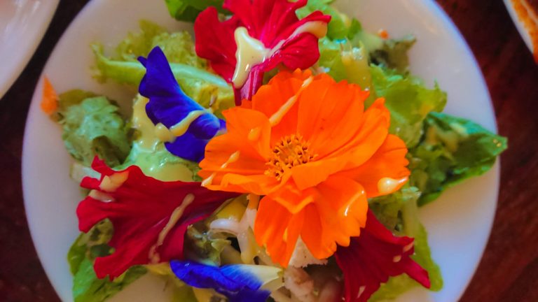 flower salad
